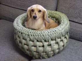 えんつこ