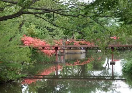 鯉沼と橋