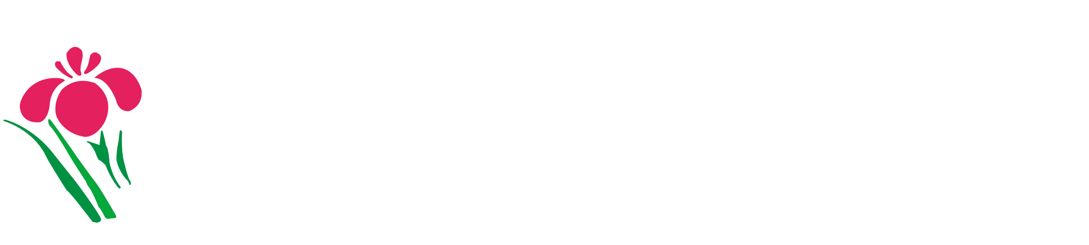 手づくり村 鯉艸郷（りそうきょう）
