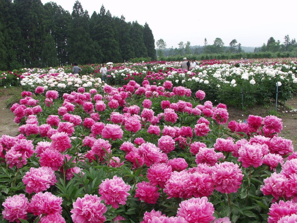 『じゃらん　大人のちょっと贅沢な旅2016-2017春夏』に掲載されました。