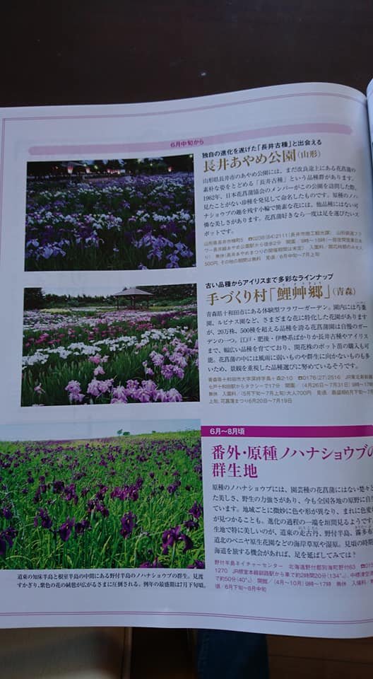 家庭画報で鯉艸郷の花菖蒲が掲載されました！